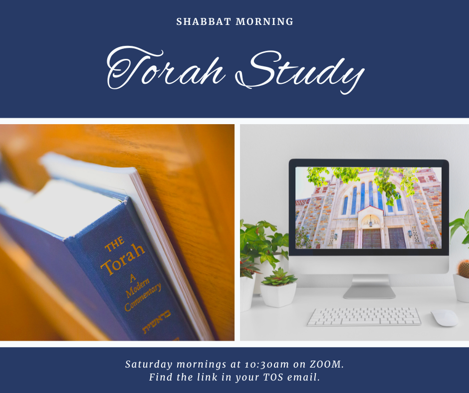 Shabbat Morning Torah Study